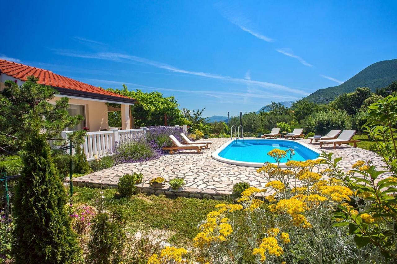 Villa Ana - 3 Bedroom Villa With Private Pool And Unspoiled Natural Environment Kučiće Eksteriør billede